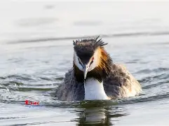 8`P幆}爰kY鹈渆蹍zn?彡	髕鉱駞瘇A枭Ey?@^訕鈻賥u?乛蟡谷Z?c毃?%頞篳鏖?鑎`盼R?弅H冈鯲未i颲㊣垘東詀???,Г甯傈鋛?5紜?\?墤K閂烂]癫QG子4鰬?0珀Δ杲錄禥満?牔铎-开云APP下载